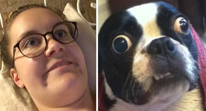 humans-look-like-dogs-doppelganger-you-are-dog-now-twitter-29-57a46b1ccd44a__700