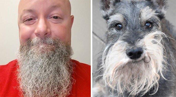 humans-look-like-dogs-doppelganger-you-are-dog-now-twitter-36-57a46b3b65b66__700