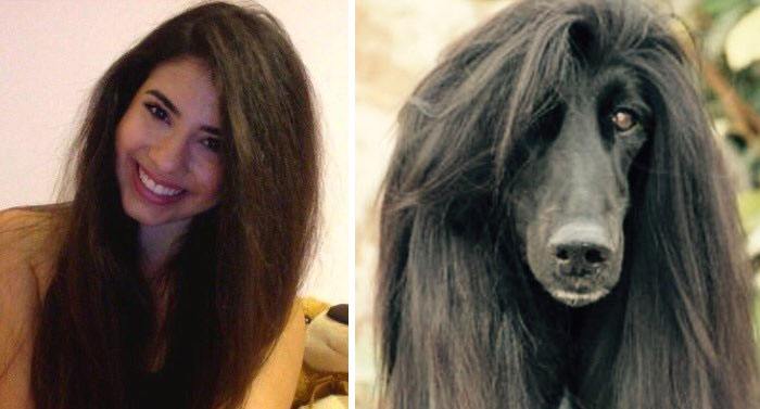 humans-look-like-dogs-doppelganger-you-are-dog-now-twitter-62-57a46b98b7eaf__700