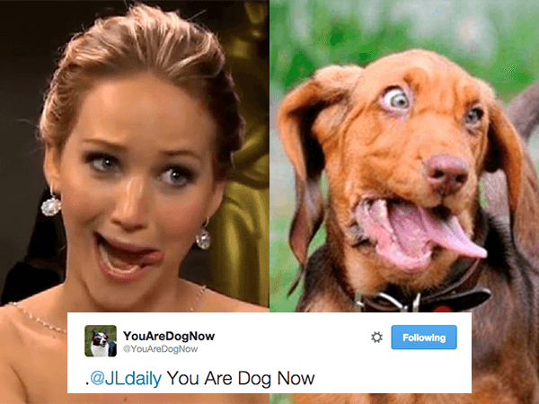 youaredognow-finds-your-doggy-doppelganger-photos-16