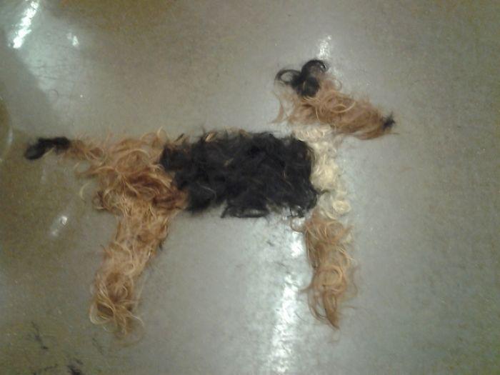 собака из волос