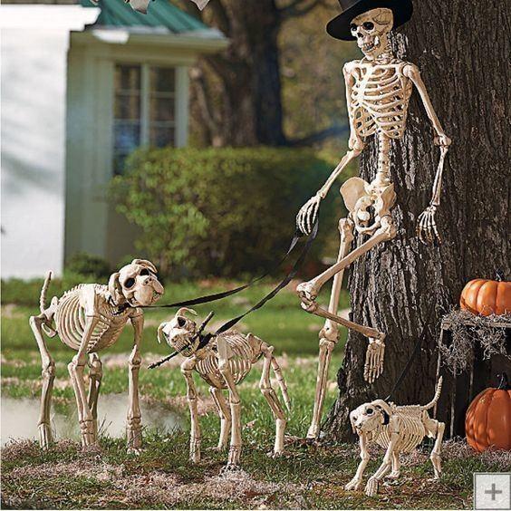 скелет и собаки
