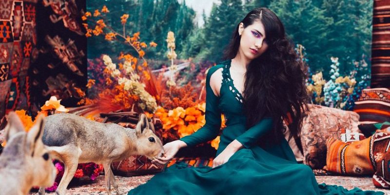 Животные, спасенные с черного рынка