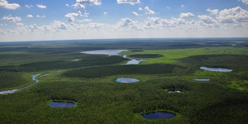 Васюганские болота — Российская Амазония