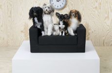 IKEA выпустила мебель для животных