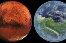 Как выглядел бы Марс, если на нем была жизнь