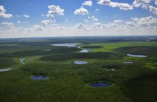 Васюганские болота — Российская Амазония