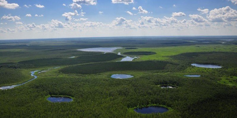 Васюганские болота — Российская Амазония